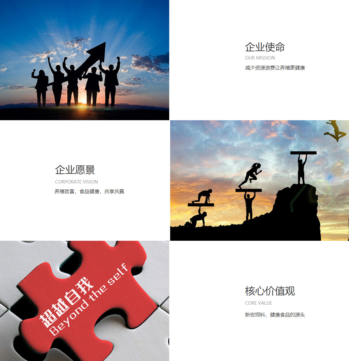 江南(JN)体育全站(图1)